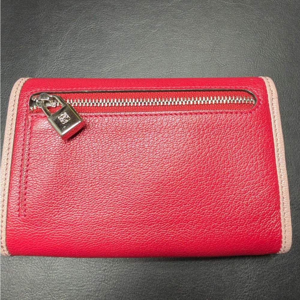 Loewe Amazona Wallet - Picture 2 of 16